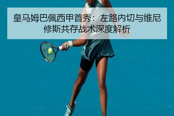 huang-ma-mu-ba-pei-xi-jia-shou-xiu-zuo-lu-nei-qie-yu-wei-ni-xiu-si-gong-cun-zhan-shu-shen-du-jie-xi-3-830.jpg