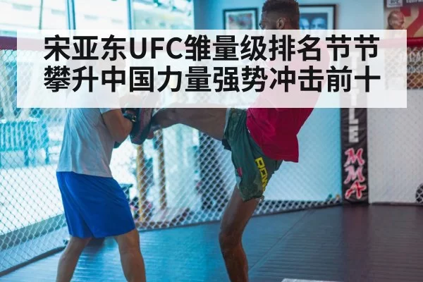 宋亚东UFC雏量级排名节节攀升中国力量强势冲击前十
